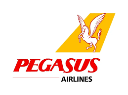 Pegasus CARGO